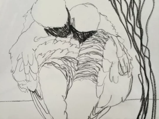 Drawing of two birds sitting on a branch sleeping together
